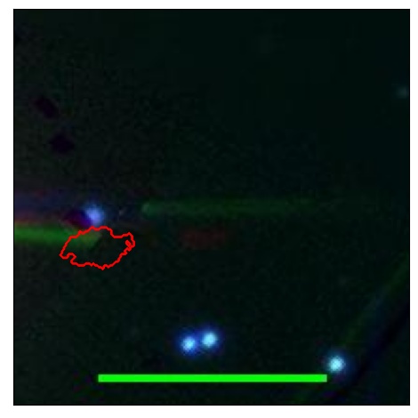 1790_063.0_contour_g