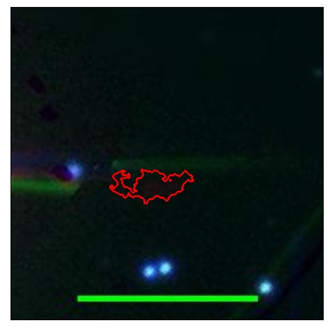 1790_063.0_contour_i