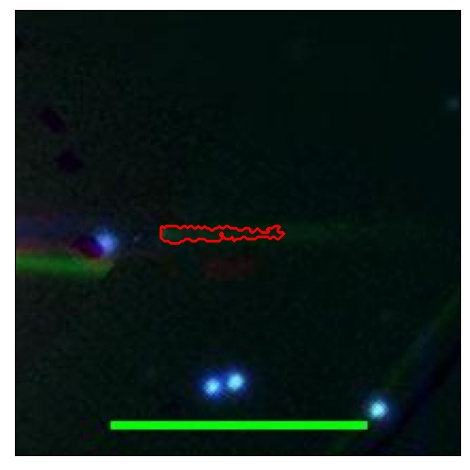 1790_063.0_contour_r