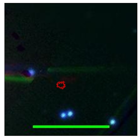 1790_063.0_contour_y