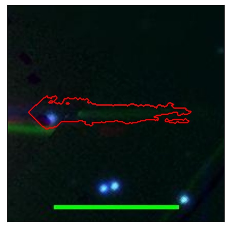 1790_063.0_contour_z