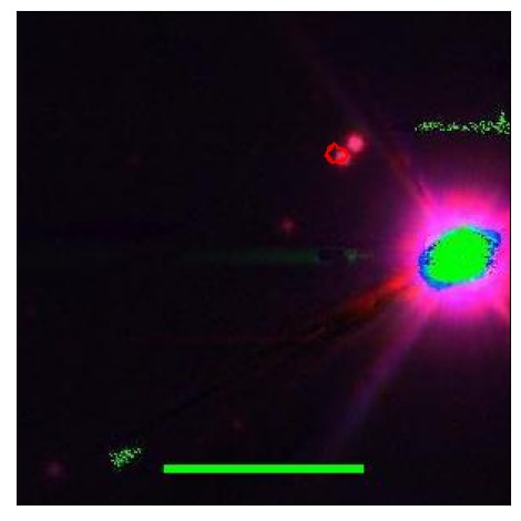 1793_011.1_contour_g