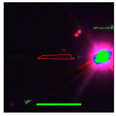 1793_011.1_contour_r