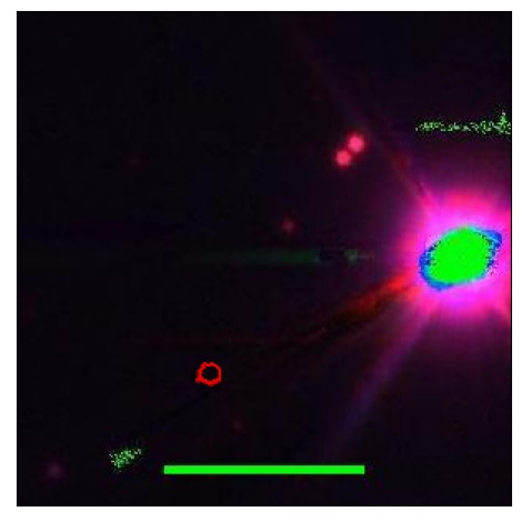 1793_011.1_contour_y