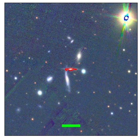 1793_087.1_contour_g