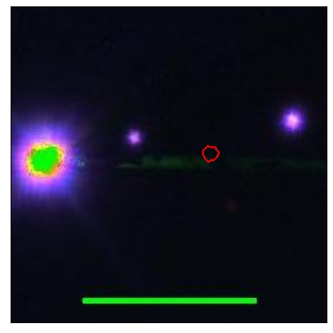 1794_069.0_contour_y