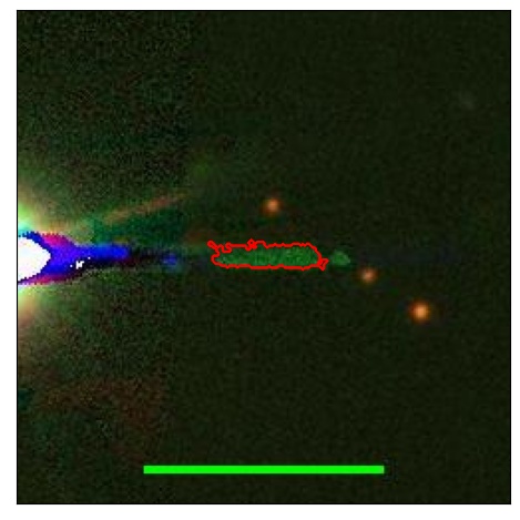 1804_008.0_contour_r