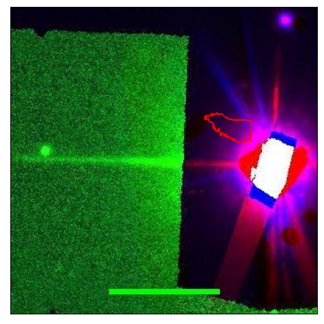 1808_008.1_contour_g