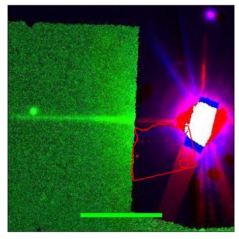 1808_008.1_contour_y