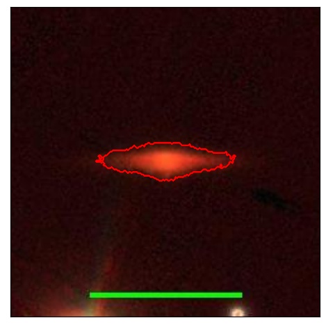 1811_097.1_contour_r