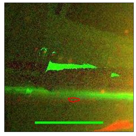 1822_017.0_contour_g