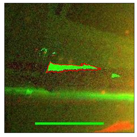 1822_017.0_contour_r