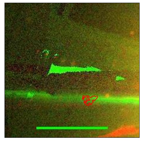 1822_017.0_contour_y