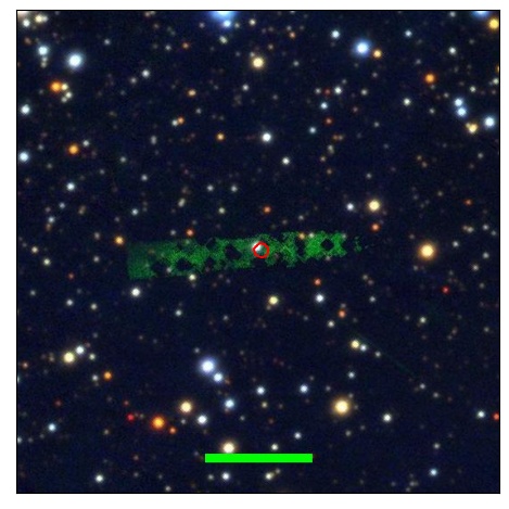 1833_006.0_contour_g