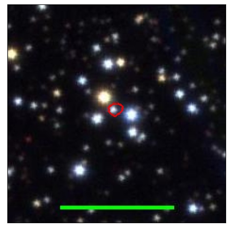 1833_010.1_contour_g