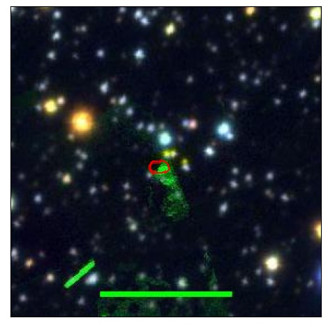 1833_041.0_contour_y