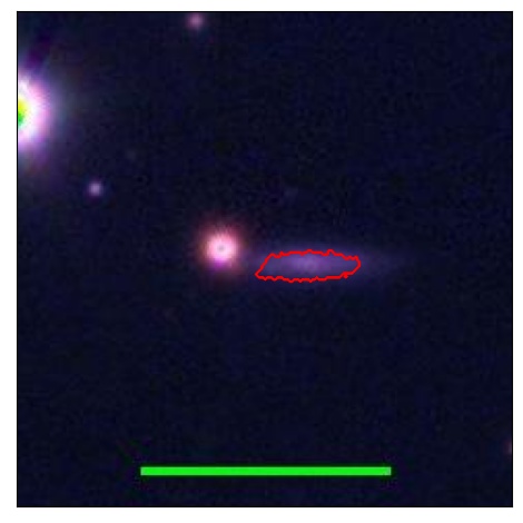 1856_050.0_contour_y