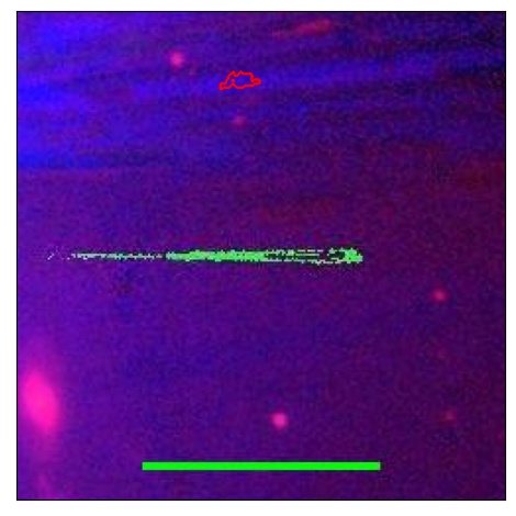 1861_004.0_contour_g