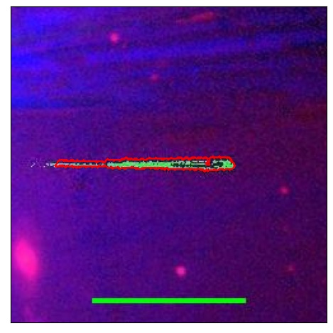 1861_004.0_contour_r