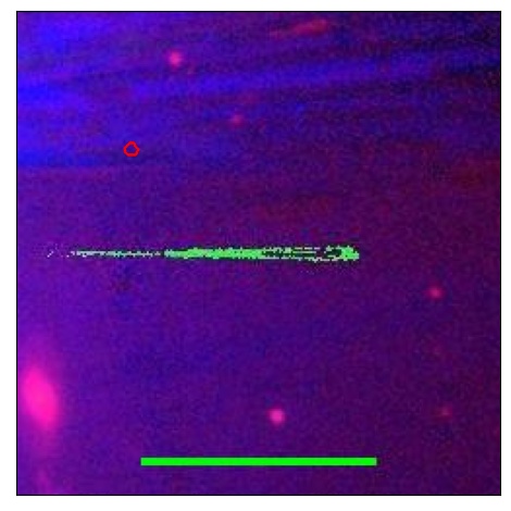 1861_004.0_contour_y