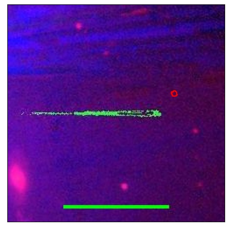 1861_004.0_contour_z