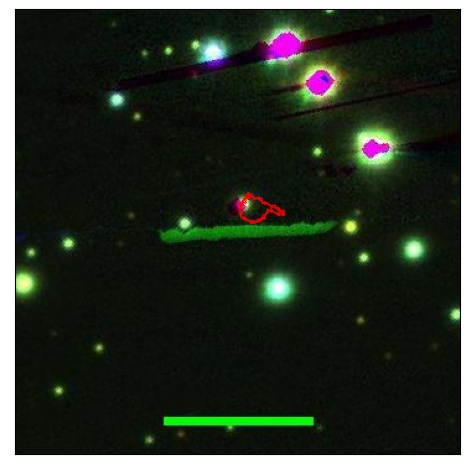 1869_065.0_contour_g