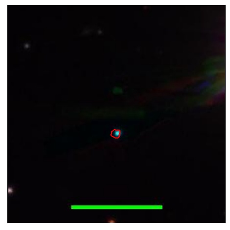 1872_044.0_contour_y