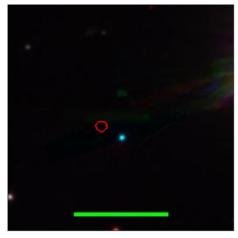 1872_044.0_contour_z