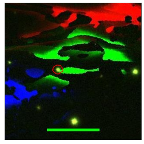 1874_096.0_contour_g