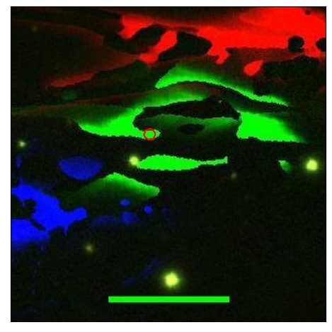 1874_096.0_contour_y