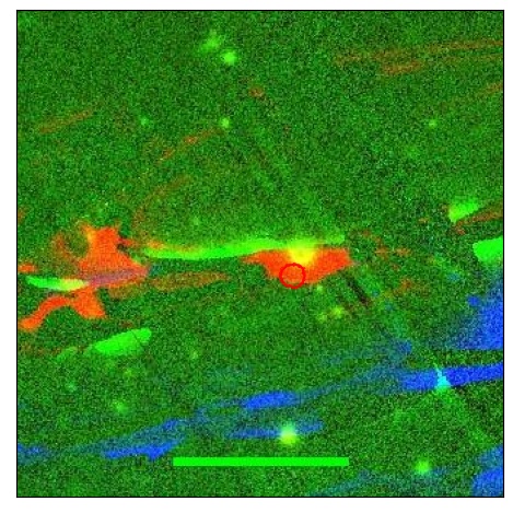 1874_096.2_contour_g