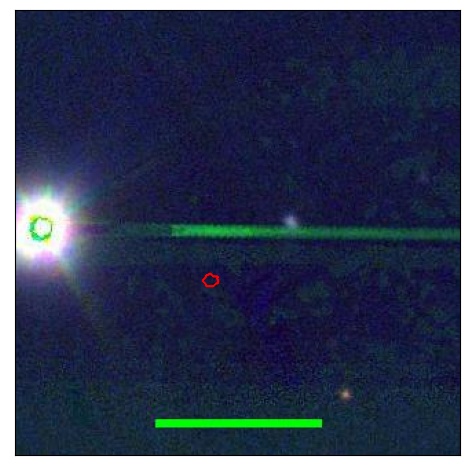 1877_021.0_contour_g