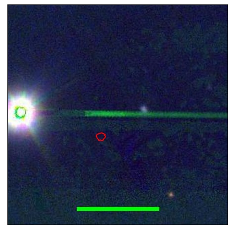 1877_021.0_contour_i