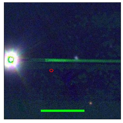 1877_021.0_contour_z