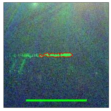 1890_048.1_contour_r