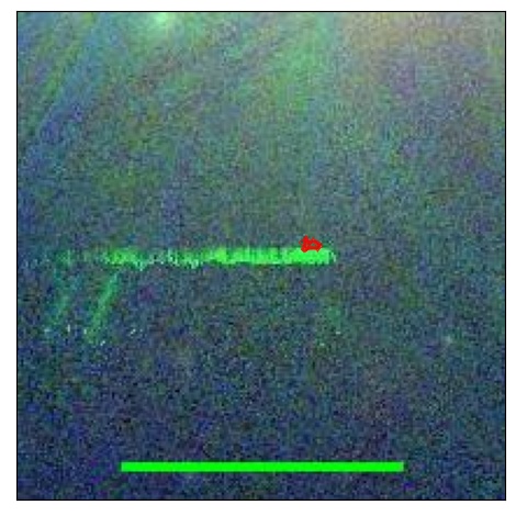 1890_048.1_contour_z