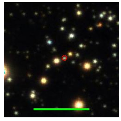 1915_088.0_contour_y