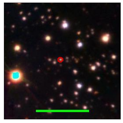 1915_098.1_contour_g