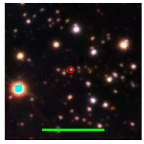 1915_098.1_contour_r