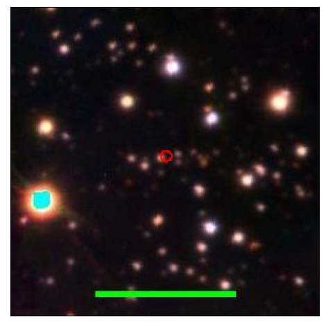 1915_098.1_contour_y