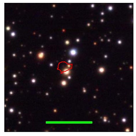 1917_031.0_contour_g