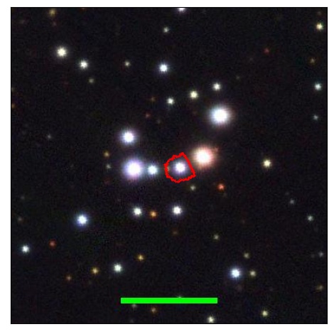 1919_055.0_contour_r