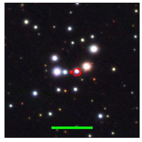 1919_055.0_contour_y