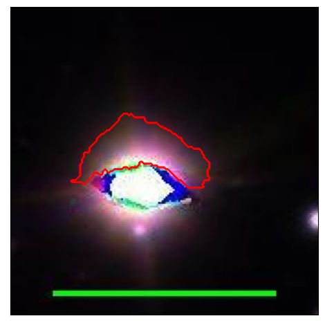 1921_006.0_contour_r