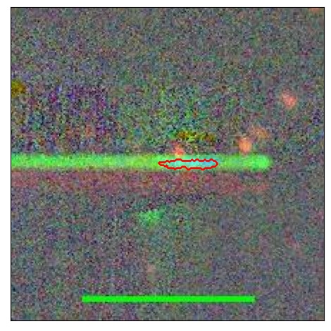 1938_018.0_contour_g