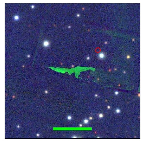 1950_080.0_contour_y