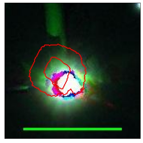 1951_001.0_contour_g