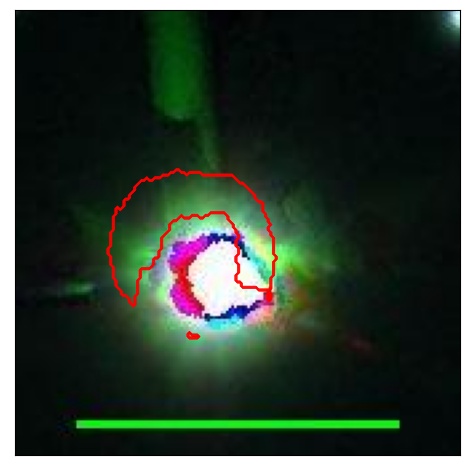 1951_001.0_contour_i