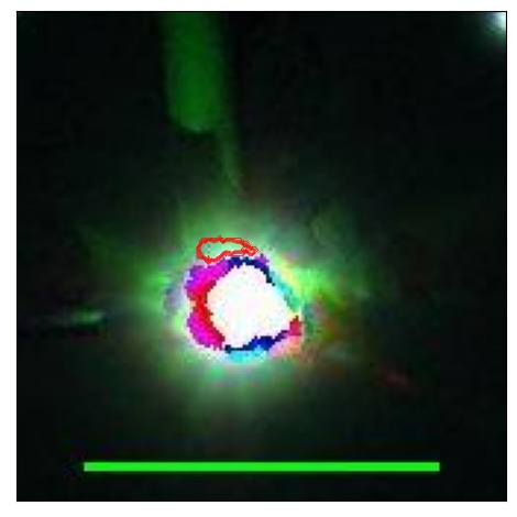 1951_001.0_contour_r