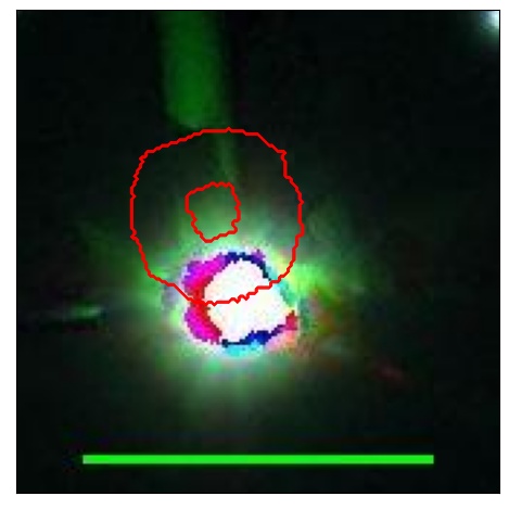 1951_001.0_contour_y